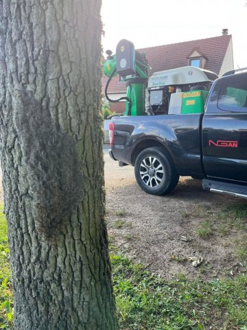 Faire retirer et traiter des nids de chenilles processionnaires sur un chêne à La-Queue-En-Brie.